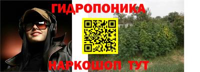 прущие грибы Нягань