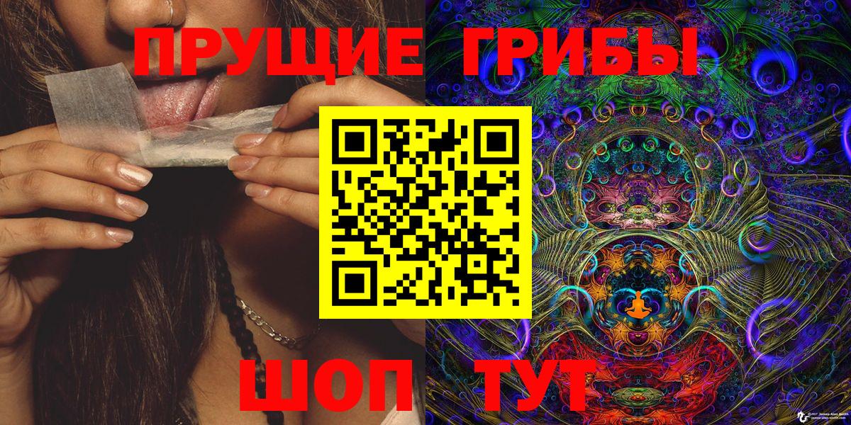 Псилоцибиновые грибы Psilocybe Черногорск