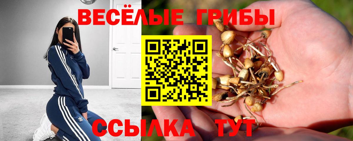 Галлюциногенные грибы Psilocybine cubensis  Вход с VPN  Черногорск 