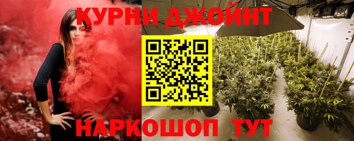 Канабис MAZAR Черногорск